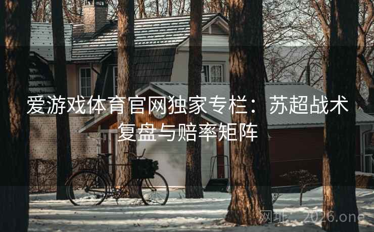 爱游戏体育官网独家专栏:苏超战术复盘与赔率矩阵