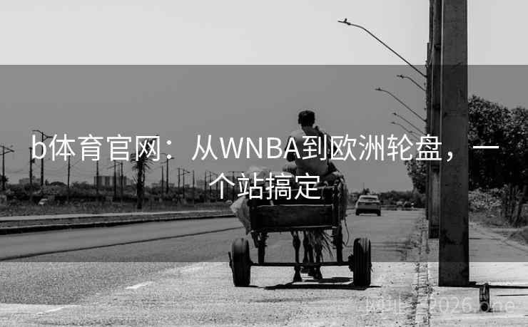 b体育官网:从WNBA到欧洲轮盘,一个站搞定 b体育官网:从WNBA到欧洲轮盘,一个站搞定