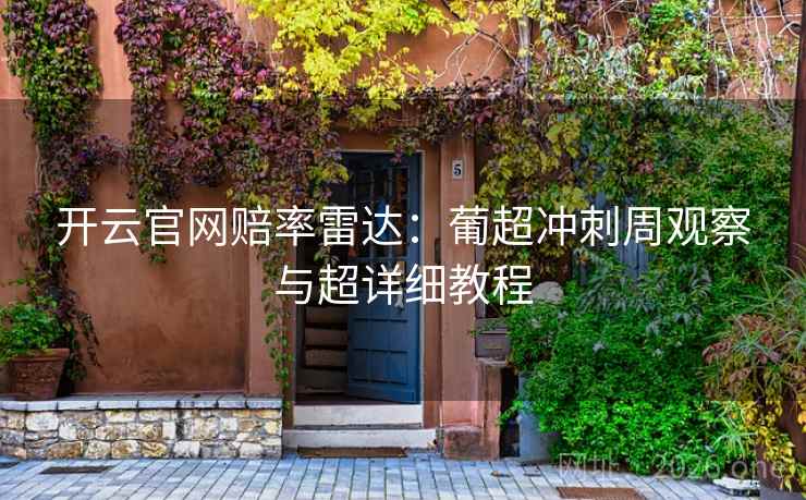 开云官网赔率雷达:葡超冲刺周观察与超详细教程