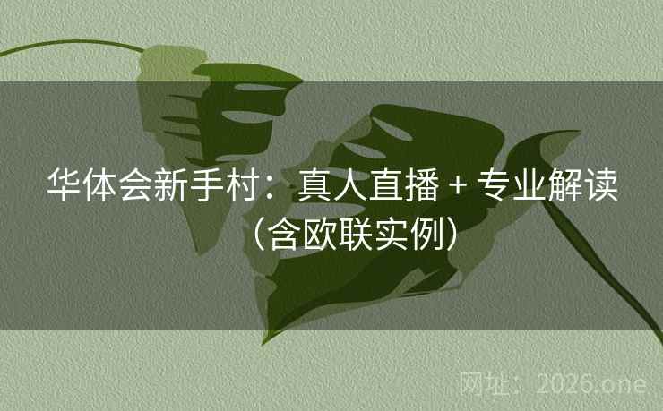 华体会新手村:真人直播 + 专业解读(含欧联实例)
