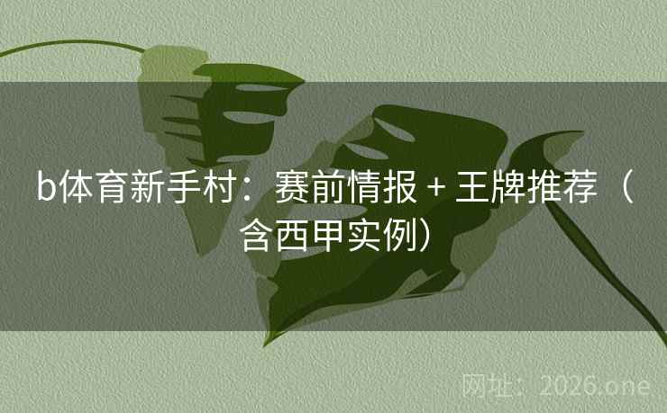 b体育新手村:赛前情报 + 王牌推荐(含西甲实例) b体育新手村:赛前情报 + 王牌推荐(含西甲实例)