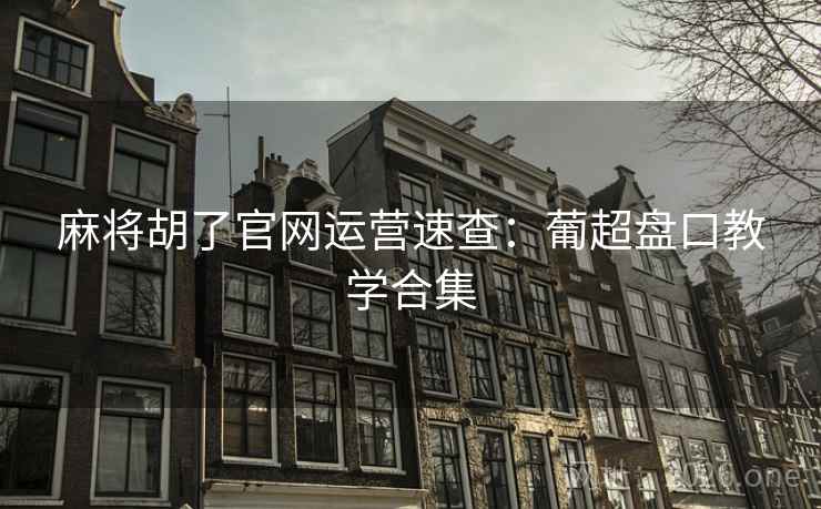 麻将胡了官网运营速查:葡超盘口教学合集