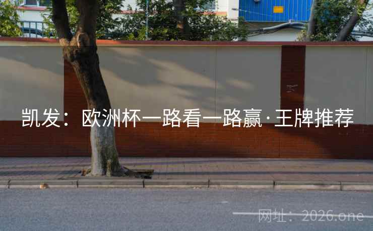 凯发：欧洲杯一路看一路赢·王牌推荐