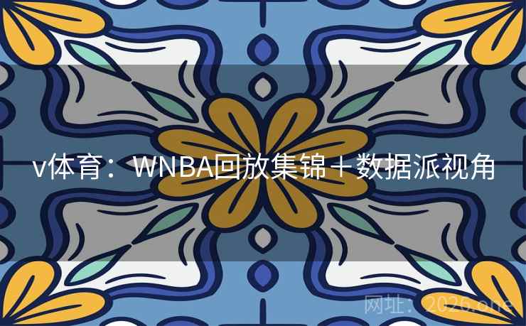 v体育:WNBA回放集锦+数据派视角