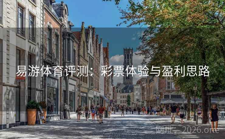 易游体育评测：彩票体验与盈利思路